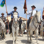 feria cheval